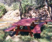 River Red Gum Setting by the River